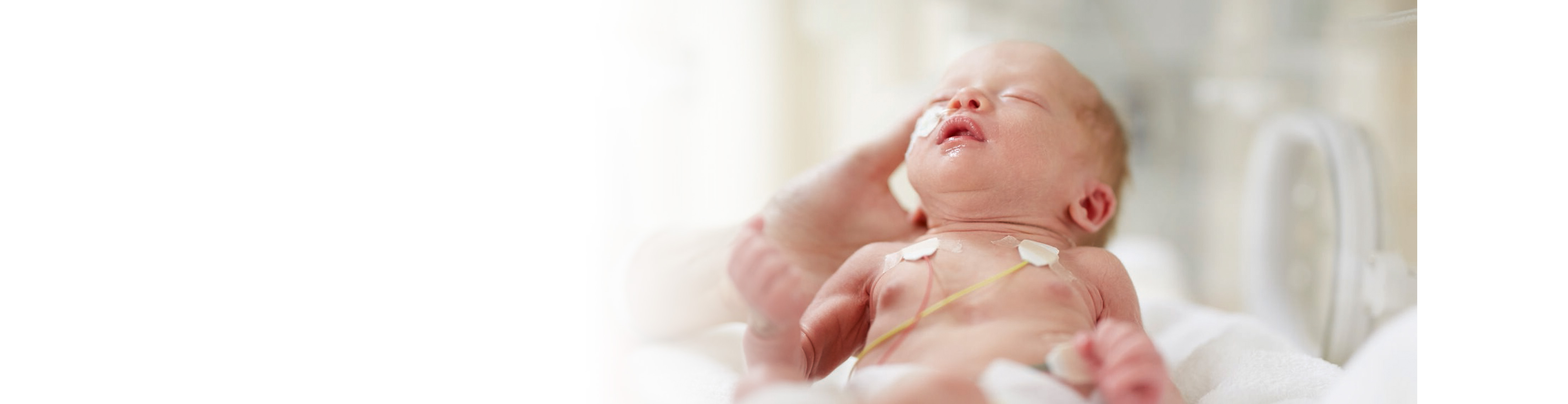 premature infant sleeping in a hospital bed