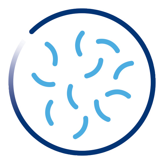 Extensively hydrolyzed protein-based formula icon