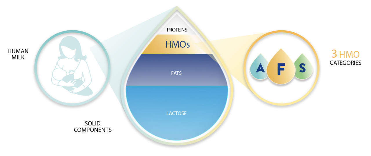 Fats and Lactose in Human Milk Infographic