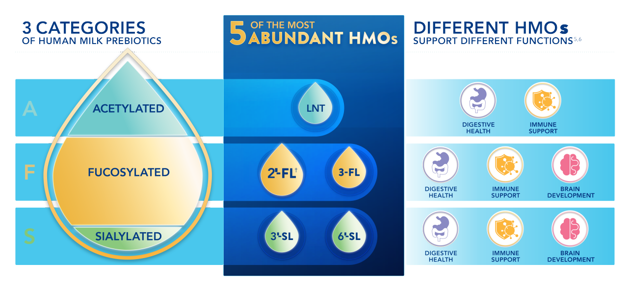 5 of the Most Abundant HMOs Graphic