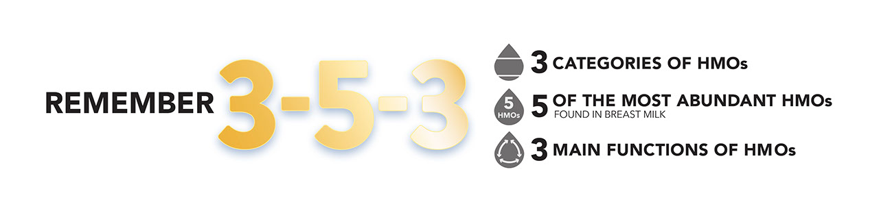 Remember 3-5-3 Graphic