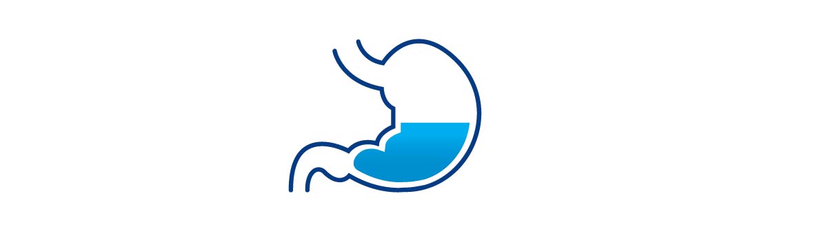 Stomach Icon