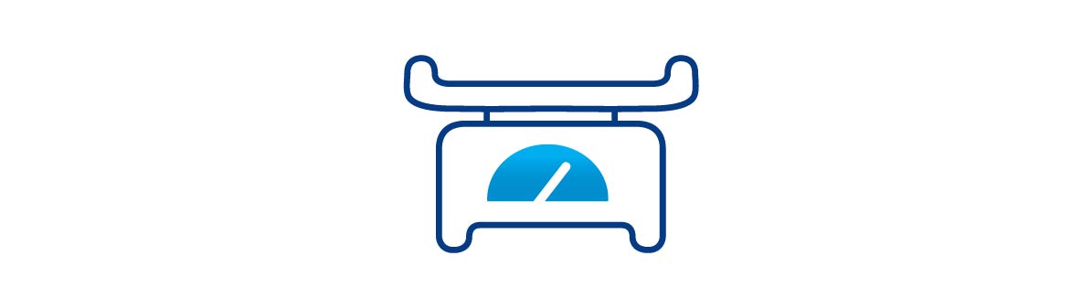 Scale Icon