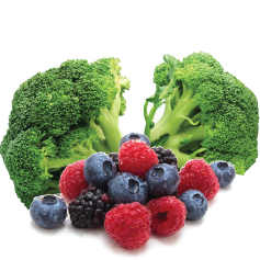 Broccoli and Berries