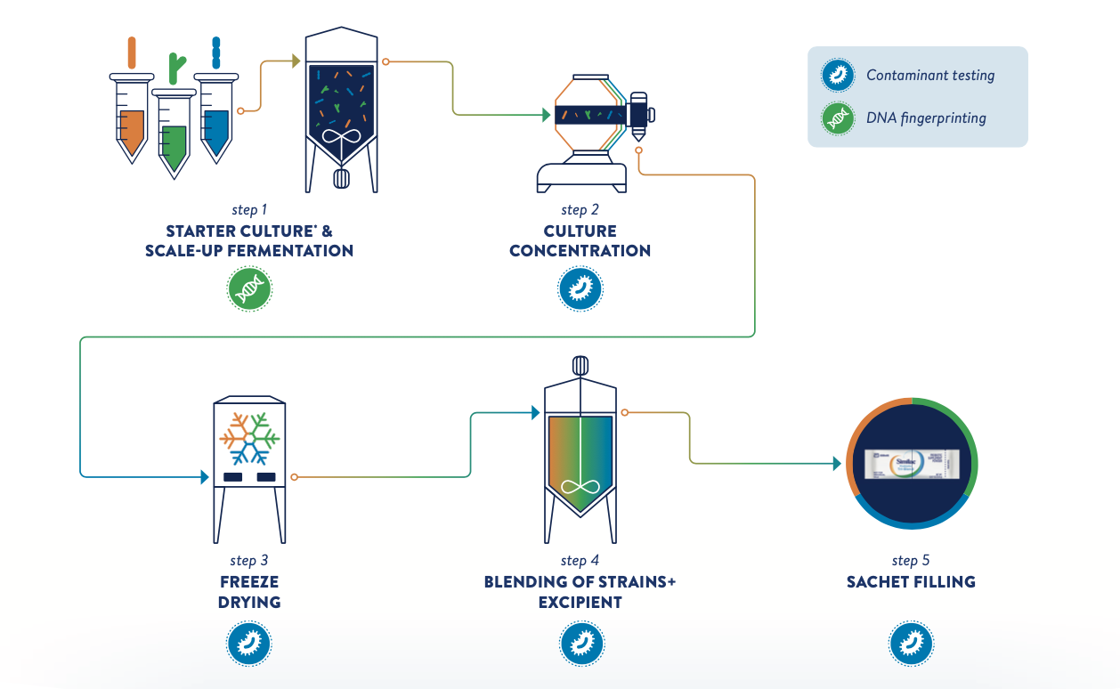 Testing for Safety and Purity Infographic