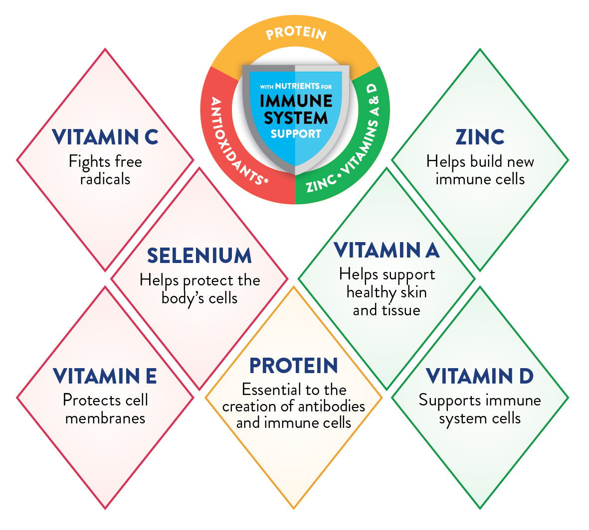 Key Nutrients for Immune System Support