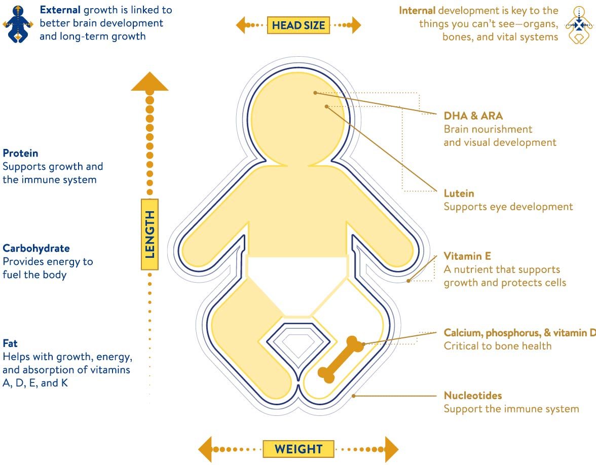 A mix of nutrients showing how preterm infants can catch up on growth and development with nutrition intervention  
