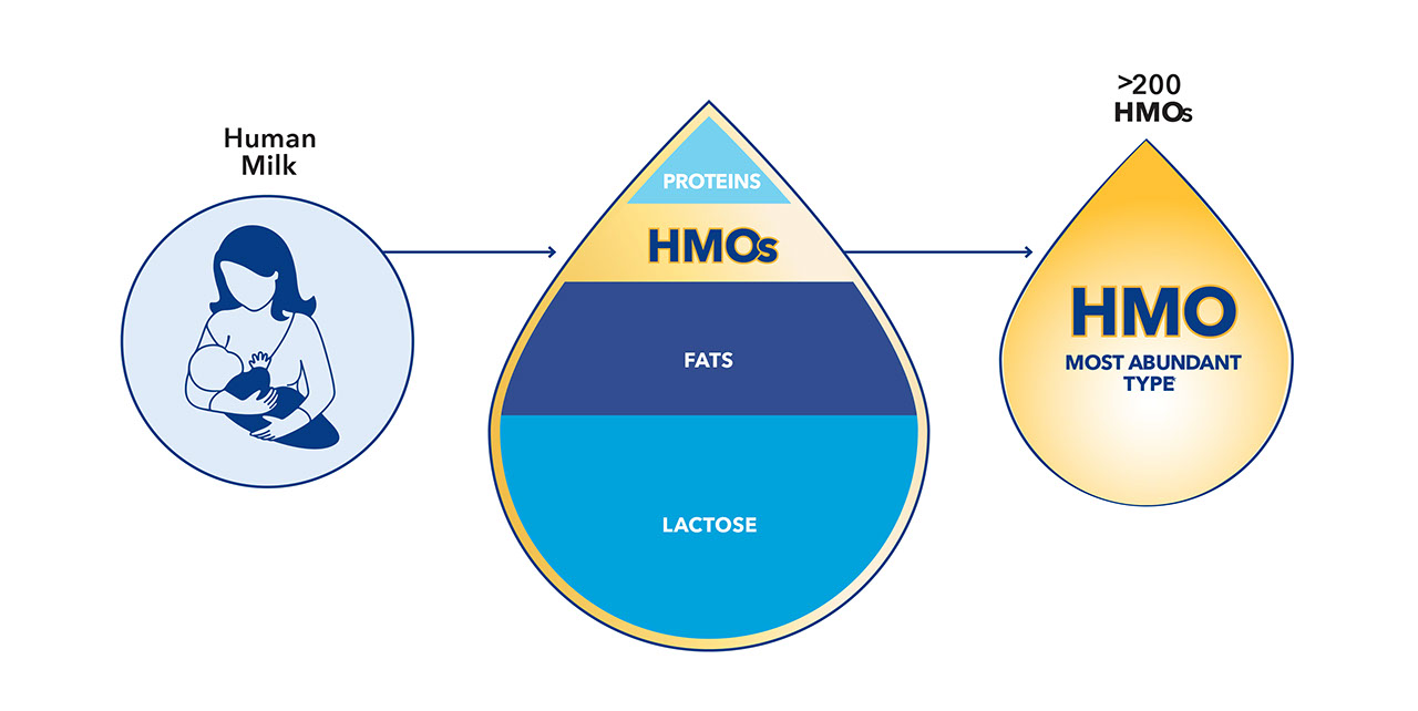 The Components of Breast Milk Infographic