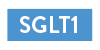 SGLT1 icon