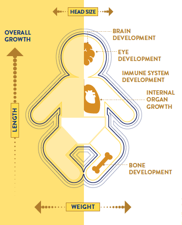 Baby Overall Growth Chart Nutrient-Enriched* Formula for a Preemie’s First Year