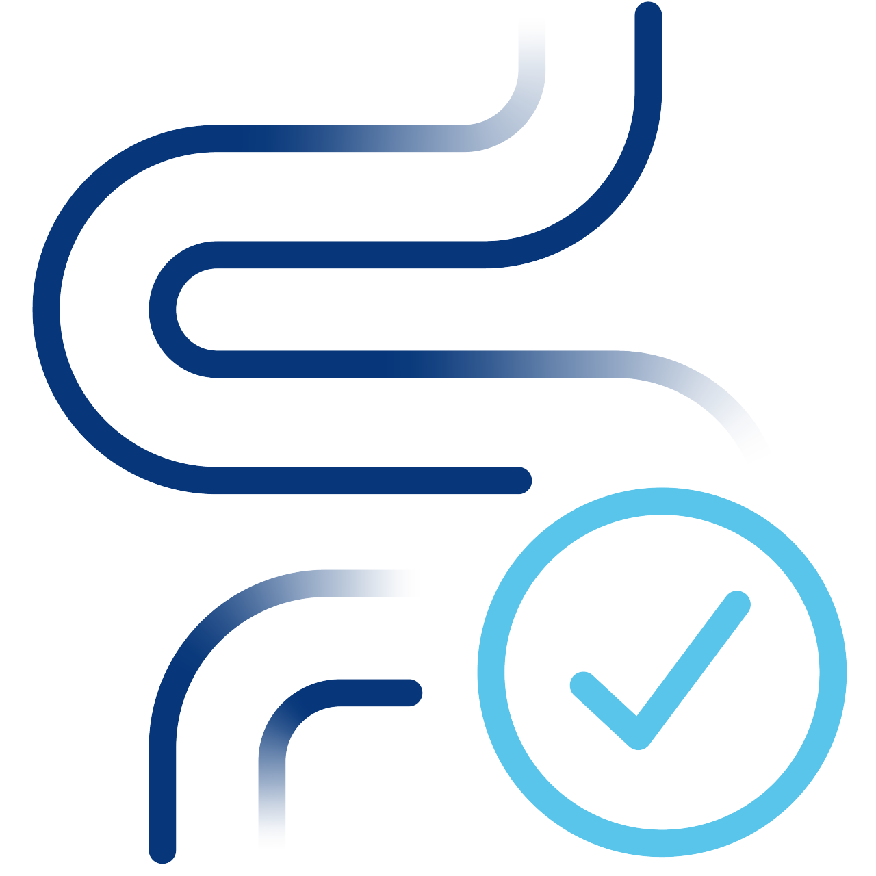 Digestion icon