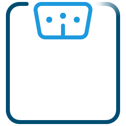 Scale icon