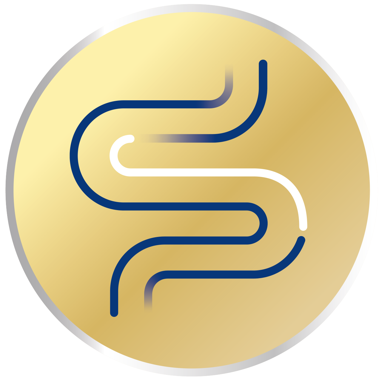 Gold gut icon